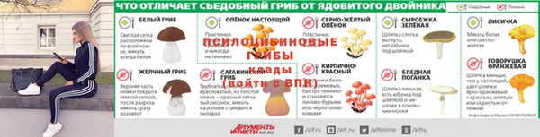 каннабис Тайга