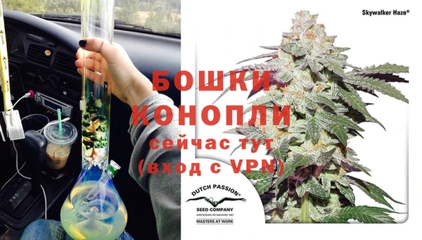 прущие крисы Сясьстрой
