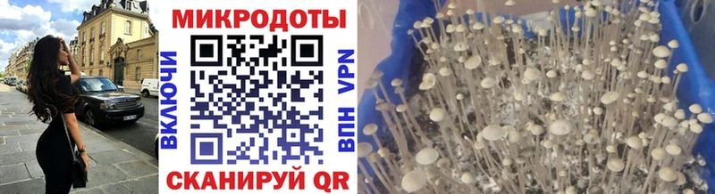 Купить  Георгиевск  Галлюциногенные грибы прущие грибы 